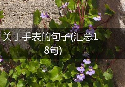关于手表的句子(汇总18句)