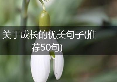 关于成长的优美句子(推荐50句)
