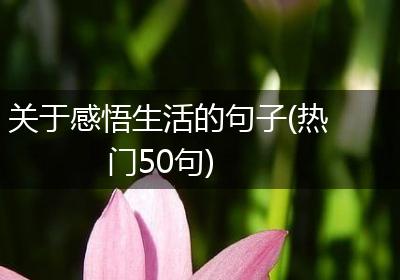 关于感悟生活的句子(热门50句)