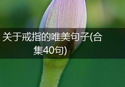 关于戒指的唯美句子(合集40句)