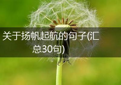 关于扬帆起航的句子(汇总30句)
