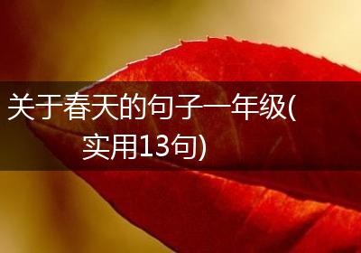 关于春天的句子一年级(实用13句)
