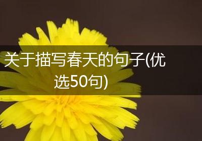 关于描写春天的句子(优选50句)