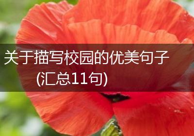 关于描写校园的优美句子(汇总11句)