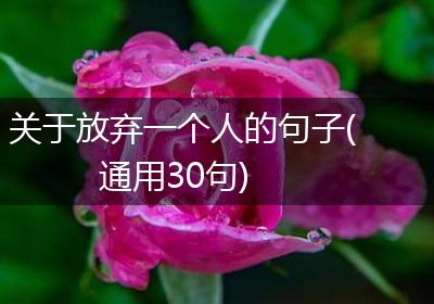 关于放弃一个人的句子(通用30句)