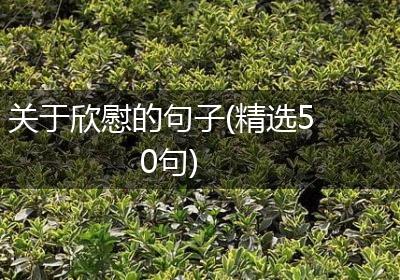 关于欣慰的句子(精选50句)