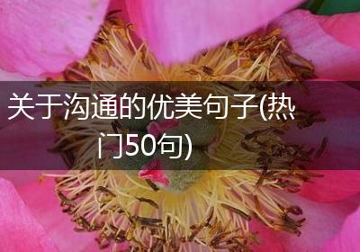 关于沟通的优美句子(热门50句)