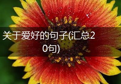 关于爱好的句子(汇总20句)