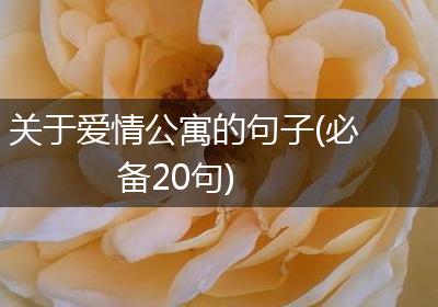 关于爱情公寓的句子(必备20句)