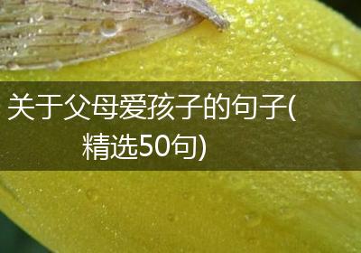 关于父母爱孩子的句子(精选50句)