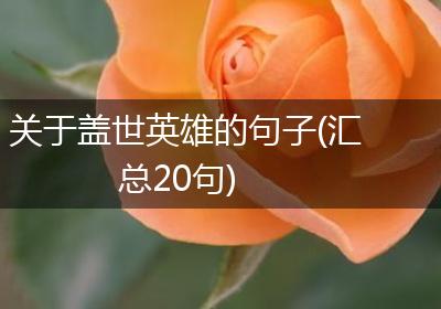 关于盖世英雄的句子(汇总20句)