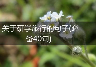 关于研学旅行的句子(必备40句)