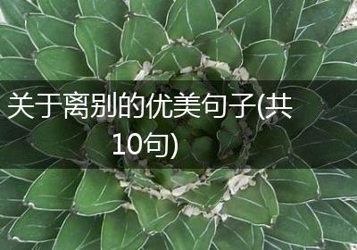 关于离别的优美句子(共10句)