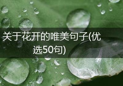 关于花开的唯美句子(优选50句)