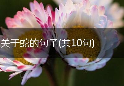 关于蛇的句子(共10句)