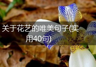 关于花艺的唯美句子(实用40句)