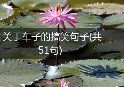 关于车子的搞笑句子(共51句)
