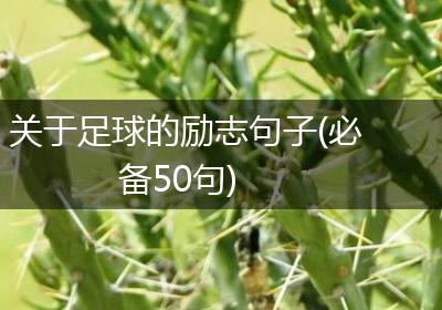 关于足球的励志句子(必备50句)