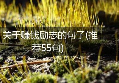 关于赚钱励志的句子(推荐55句)