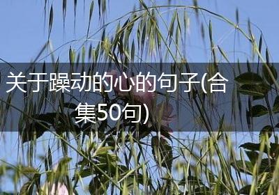 关于躁动的心的句子(合集50句)