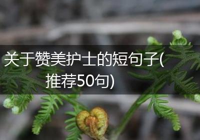 关于赞美护士的短句子(推荐50句)