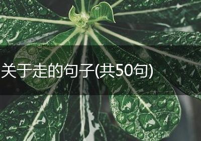 关于走的句子(共50句)