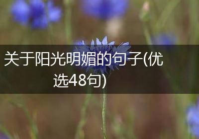关于阳光明媚的句子(优选48句)