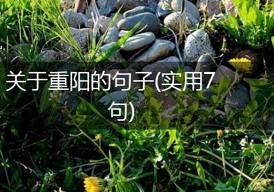 关于重阳的句子(实用7句)