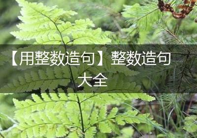 【用整数造句】整数造句大全