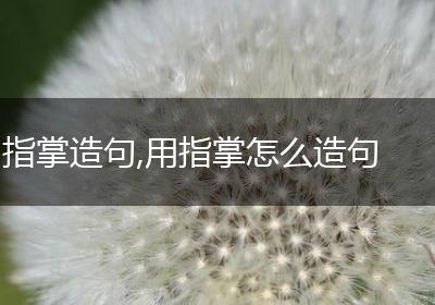 指掌造句,用指掌怎么造句