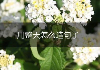 用整天怎么造句子