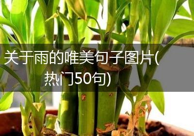 关于雨的唯美句子图片(热门50句)
