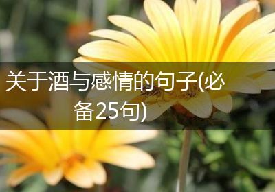 关于酒与感情的句子(必备25句)