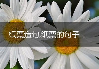 纸票造句,纸票的句子