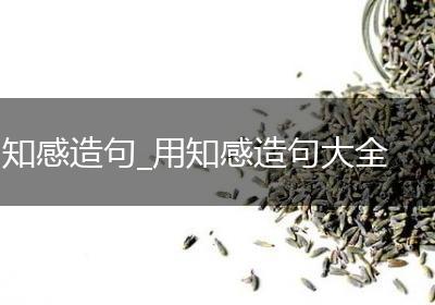 知感造句_用知感造句大全