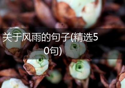 关于风雨的句子(精选50句)