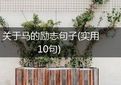关于马的励志句子(实用10句)