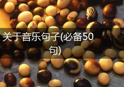 关于音乐句子(必备50句)