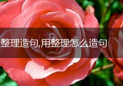 整理造句,用整理怎么造句