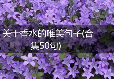 关于香水的唯美句子(合集50句)