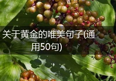 关于黄金的唯美句子(通用50句)