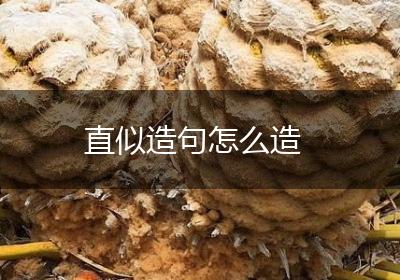 直似造句怎么造