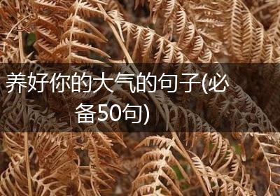 养好你的大气的句子(必备50句)