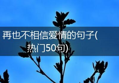 再也不相信爱情的句子(热门50句)