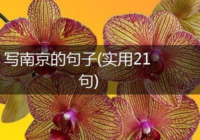 写南京的句子(实用21句)