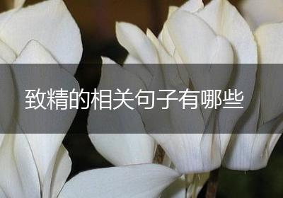 致精的相关句子有哪些