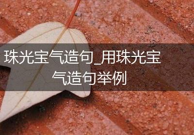 珠光宝气造句_用珠光宝气造句举例