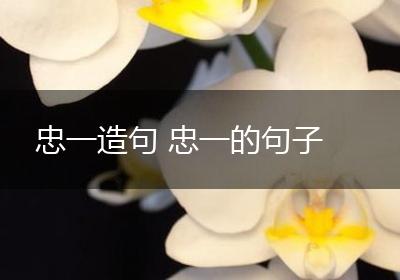 忠一造句 忠一的句子