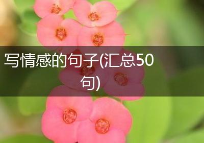 写情感的句子(汇总50句)