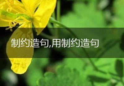 制约造句,用制约造句